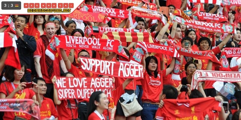 Tiết lộ rõ Fan Liverpool gọi là gì? nhanh nhất