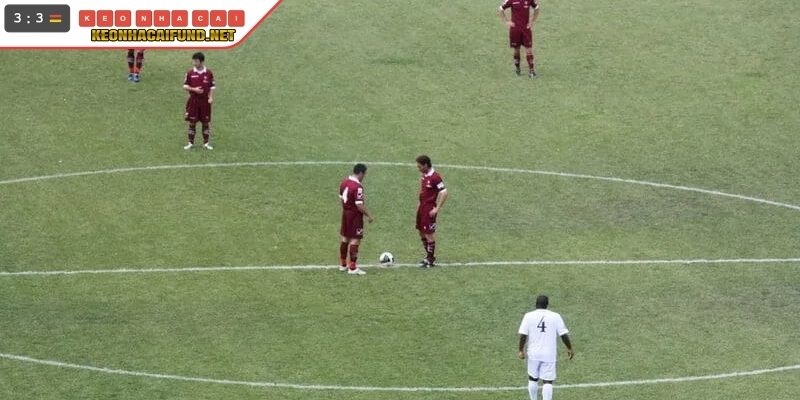Cách thức vận hành và các lựa chọn phổ biến